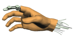 hand